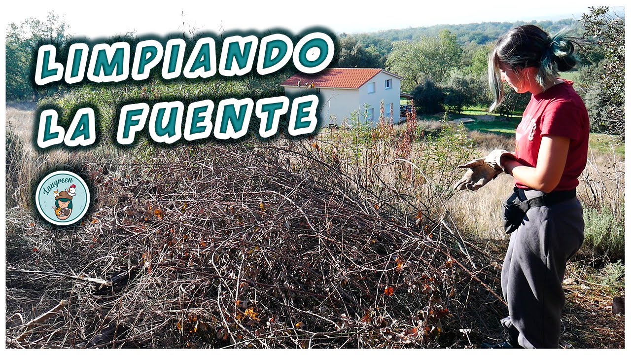 Quitando ZARZAS de la FUENTE NATURAL en la FINCA 🏔️