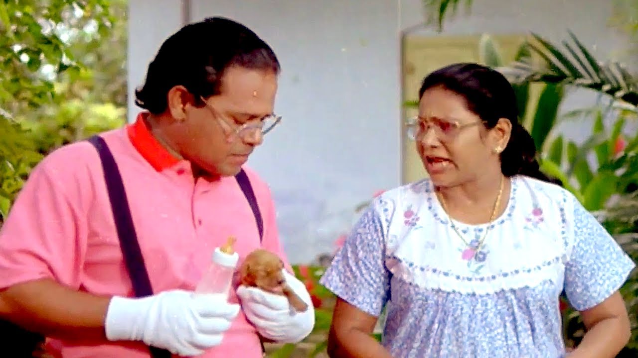 ഇന്നസെന്റ് ചേട്ടന്റെ പഴയകാല കിടിലൻ കോമഡി സീൻ | Innocent Comedy Scenes | Malayalam Comedy Scenes