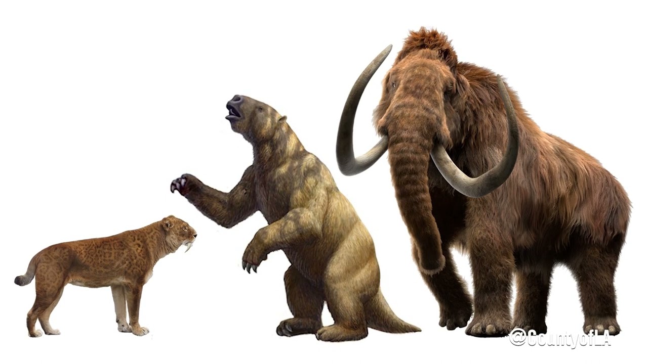 New research sheds light on Ice Age extinction