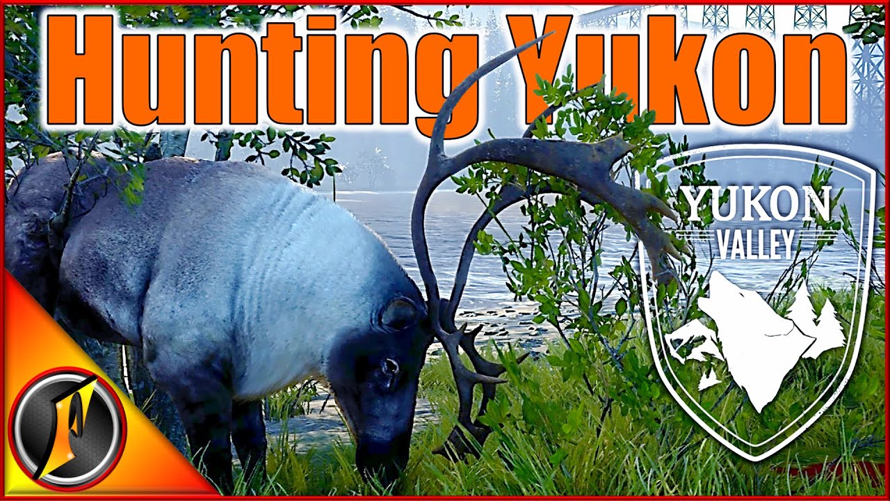 Hunting Yukon Valley Caribou, Moose, and Grizzly!