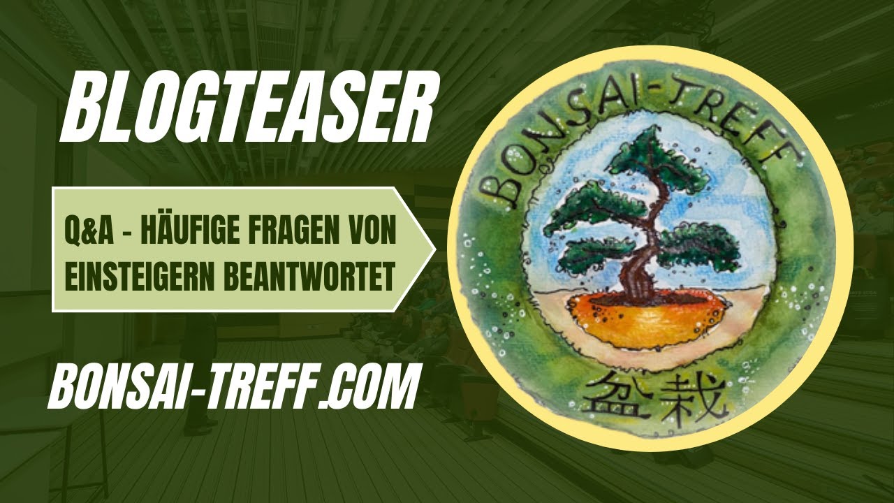 Q&A &ndash; H&auml;ufige Fragen von Einsteigern beantwortet
