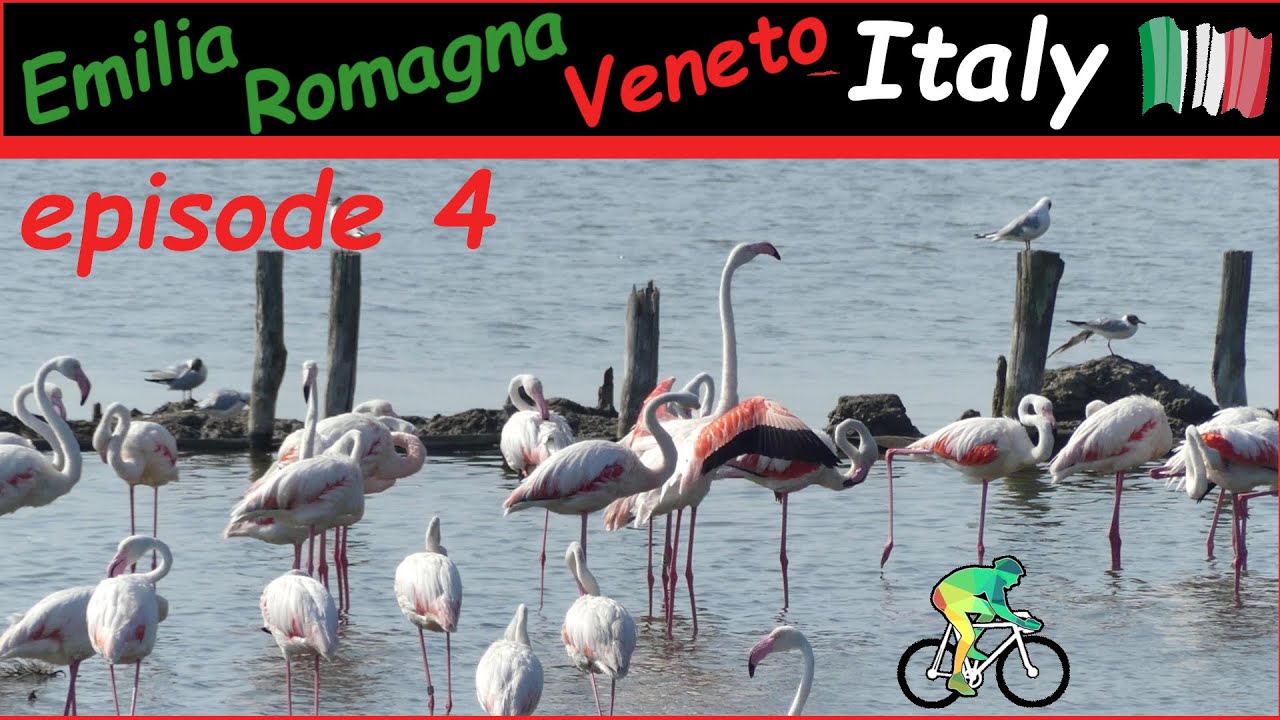 Cycling Italy ep 4/10 Porto Garibaldi,  Valli di Comacchio, Ravenna