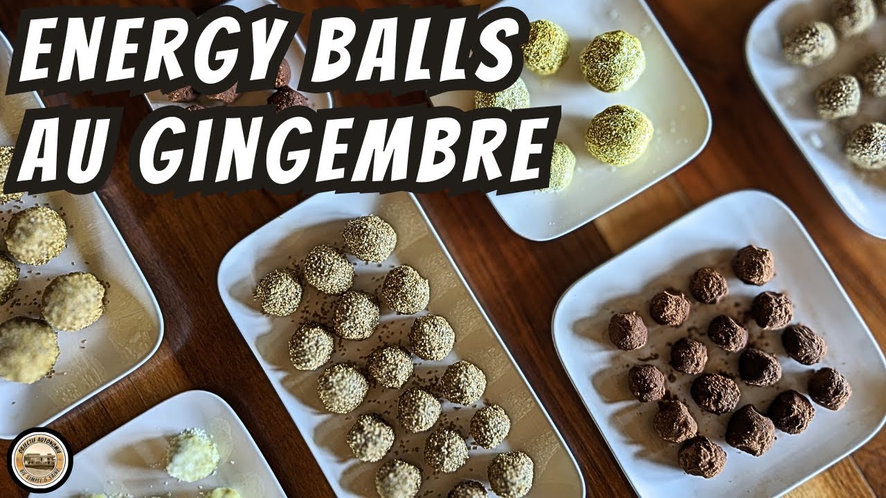 ENERGY BALLS AU GINGEMBRE & CURCUMA - Probiotiques, Anti-inflammatoires digestifs et articulaires