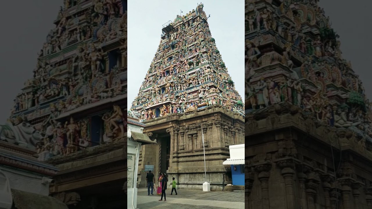 Kapaleeshwarar Temple l Mylapore,Chennai | Shiva Temple | #shorts #temple #chennai