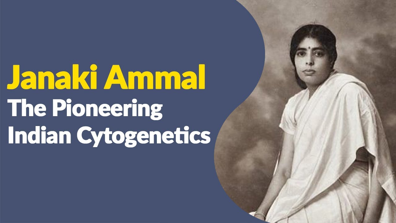 Janaki Ammal: The Pioneering Indian Cytogenetics