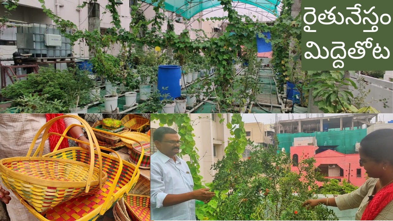 Rythunestham Founder Venkateswara Rao Gari Middethota 🌼🌳 + Garden Shopping Vlog🛒-DIML-Terrace Garden