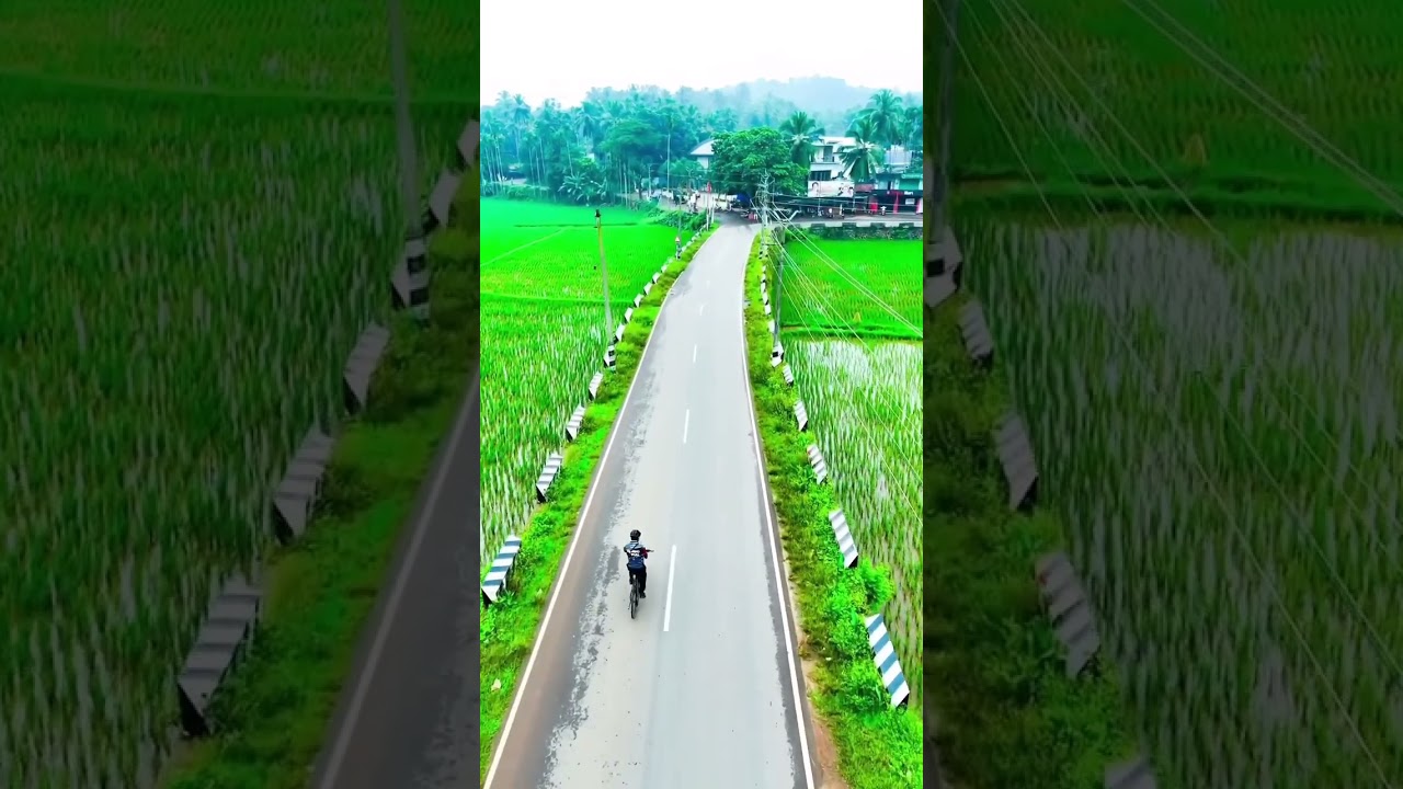 Areekode #areekode #viralvideos