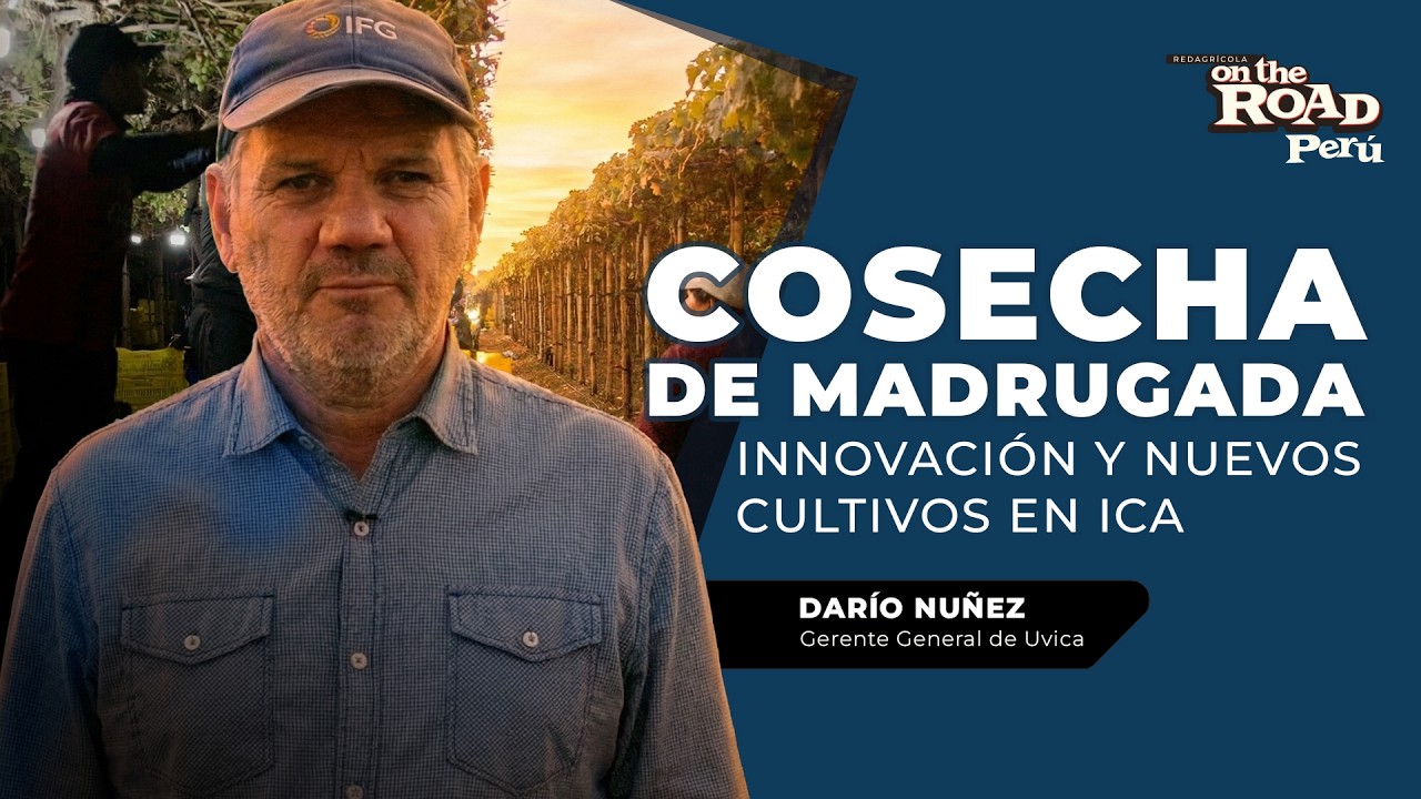 UVICA: Innovaci&oacute;n, frescura y empleo que nacen de madrugada