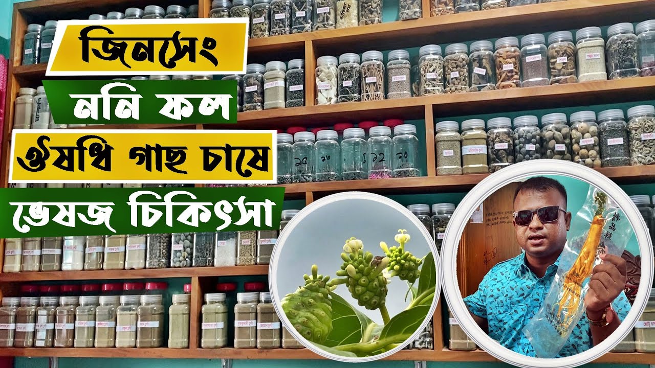 সেনা সদস্যের ঔষধি গাছ চাষে অপার সম্ভবনা । জিনসেং ও ননিফল চাষে ভেষজ চিকিৎসা ১ম পর্ব