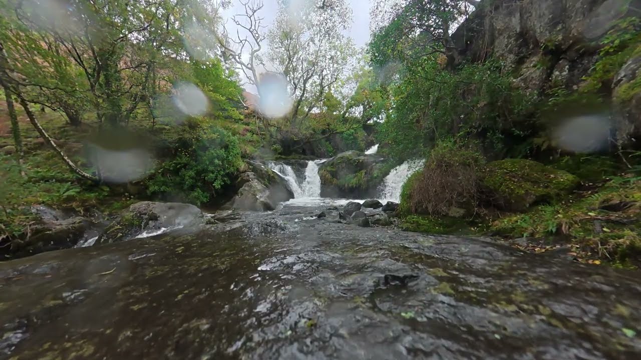 dolgoch falls