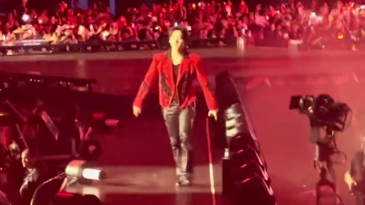 Stray Kids- DOMINO - LA- DominATE- Sofi Stadium- FANCAM