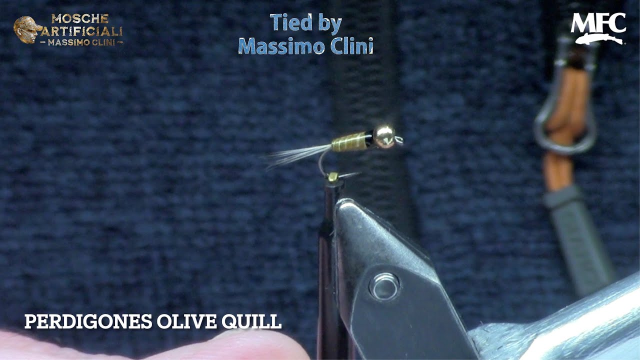 Costruzione Perdigones Olive Quill | La Ninfa Spagnola da Competizione