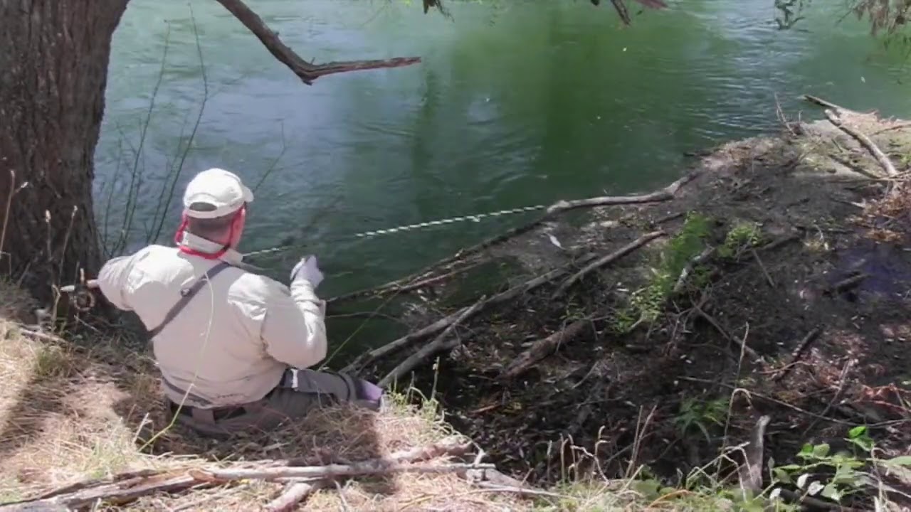Victoria's Goulburn River in summer...