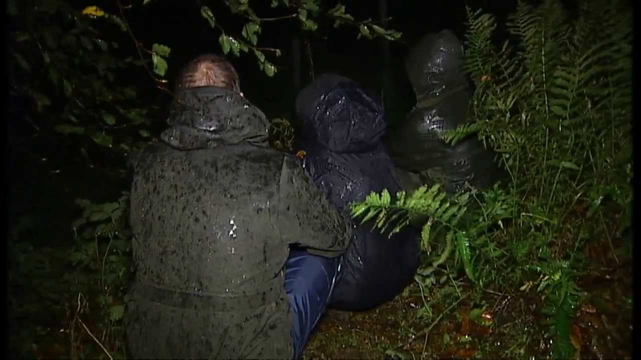 Shrouded in secrecy: Britain's badger cull