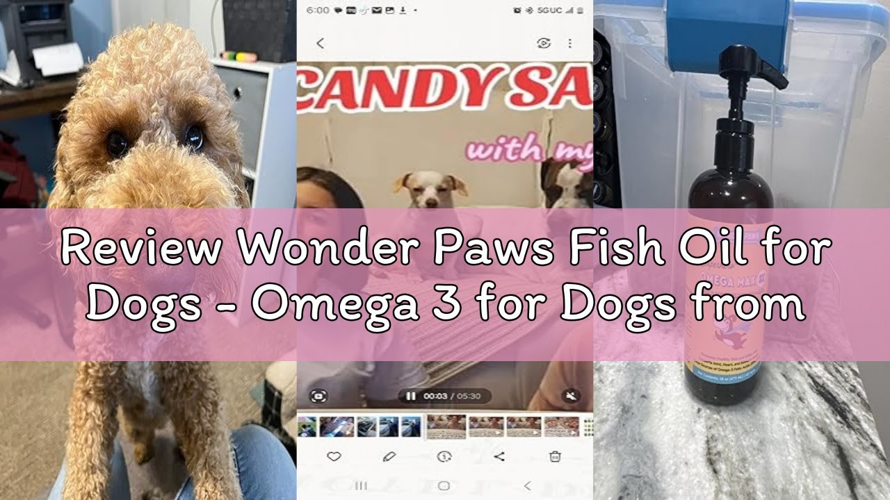 Review Wonder Paws Fish Oil for Dogs - Omega 3 for Dogs from Alaskan Salmon, Cod & Krill Oil - EPA D