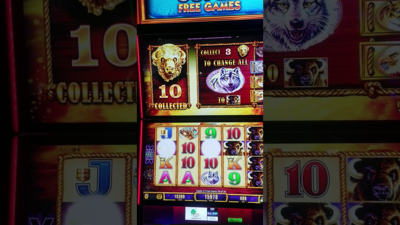 🥊🦬 Buffalo Gold Bonus Run 🔥 Round 3 | EPIC WIN #buffalogold #slots #casinovlog