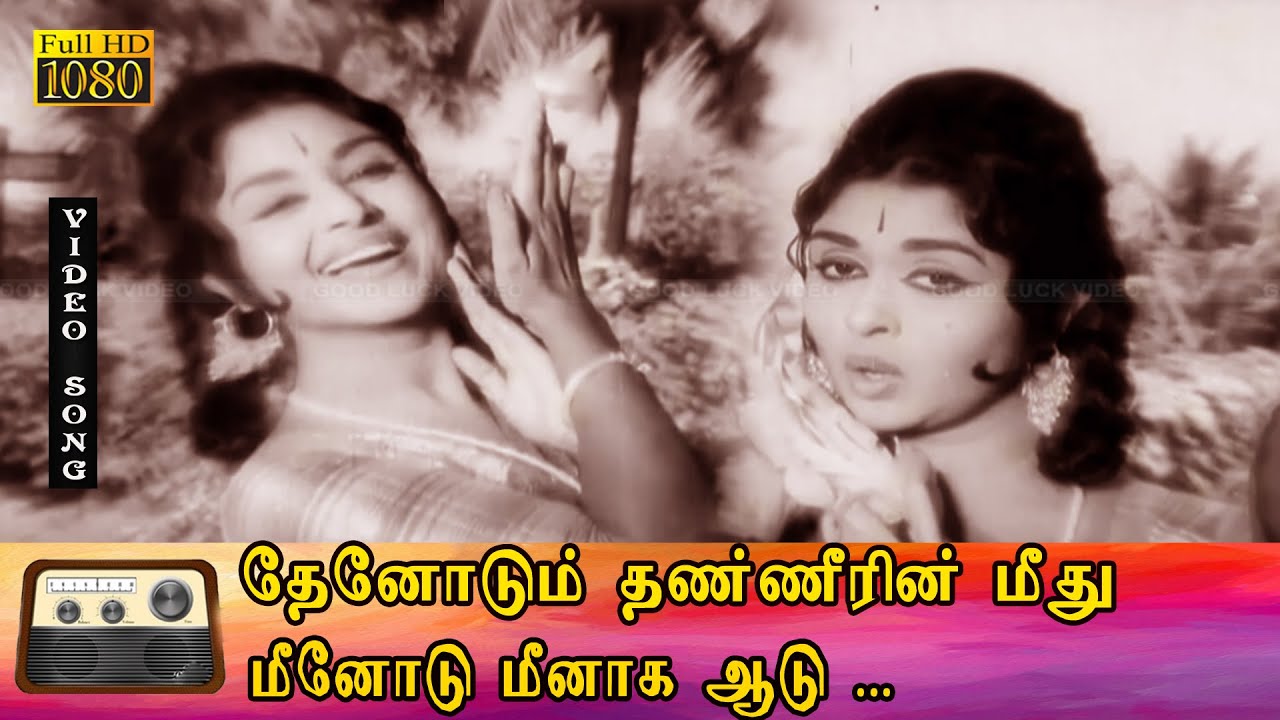 தேனோடும் தண்ணீரின் மீது பாடல் HD | M.G.ராமசந்திரன், சரோஜா தேவி இனிமையான காதல் பாடல் .