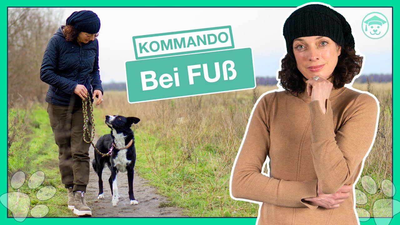 BEI FUSS beibringen? (So lernt ihr die Leinenf&uuml;hrigkeit effektiv)