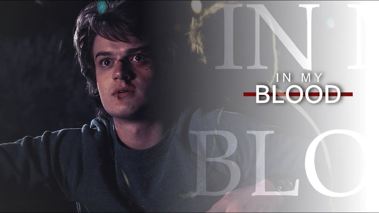 »  Steve Harrington | In My Bloodㅤㅤㅤ