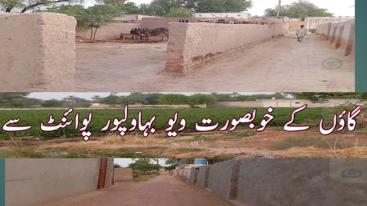 Village in Pakistan Punjab  view / bahawalpur village beautiful