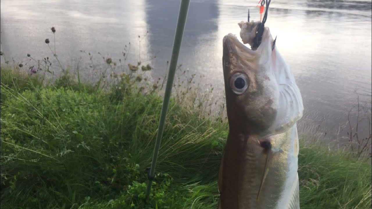 Fishing Blyth harbour and hebburn marina