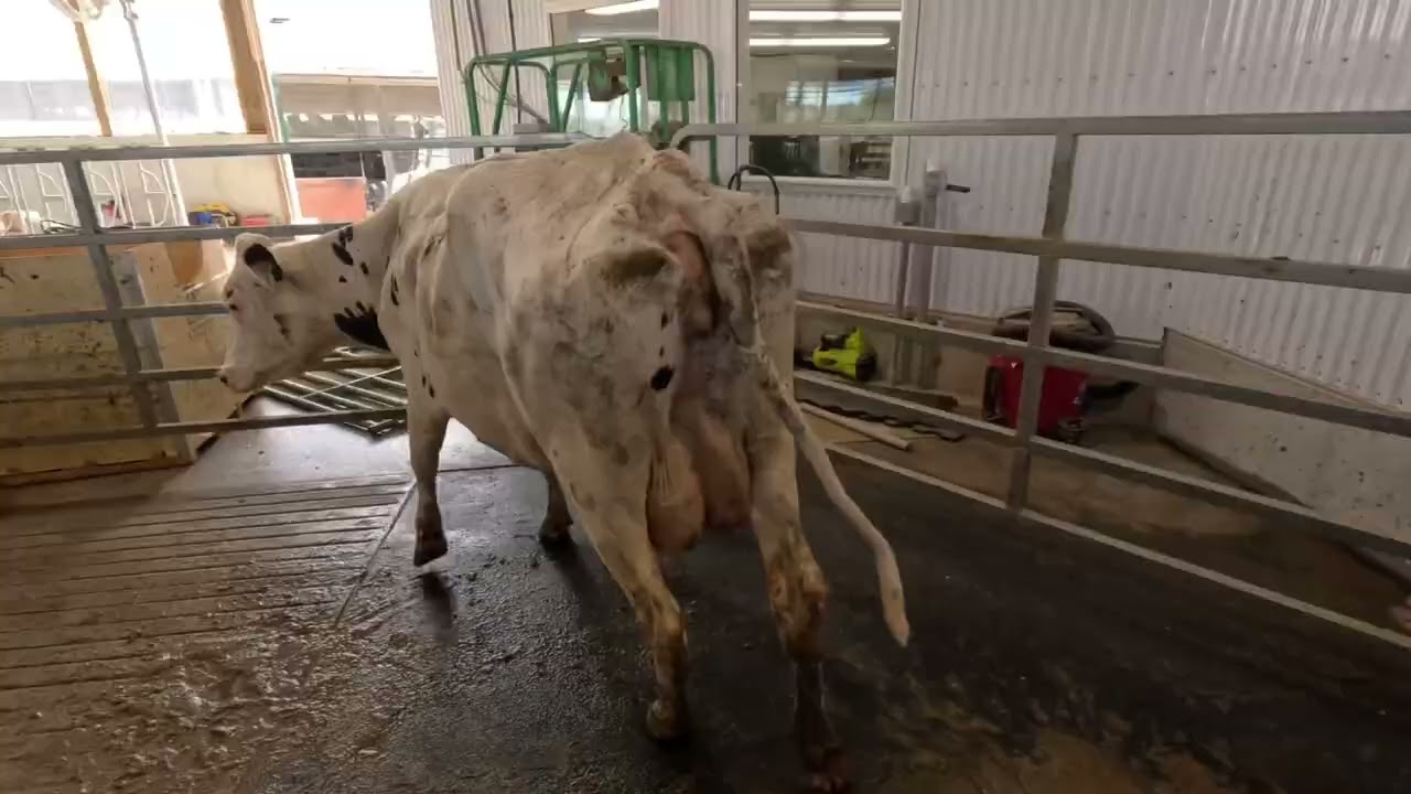 Start-up vibes on DeLaval E-500 Deck