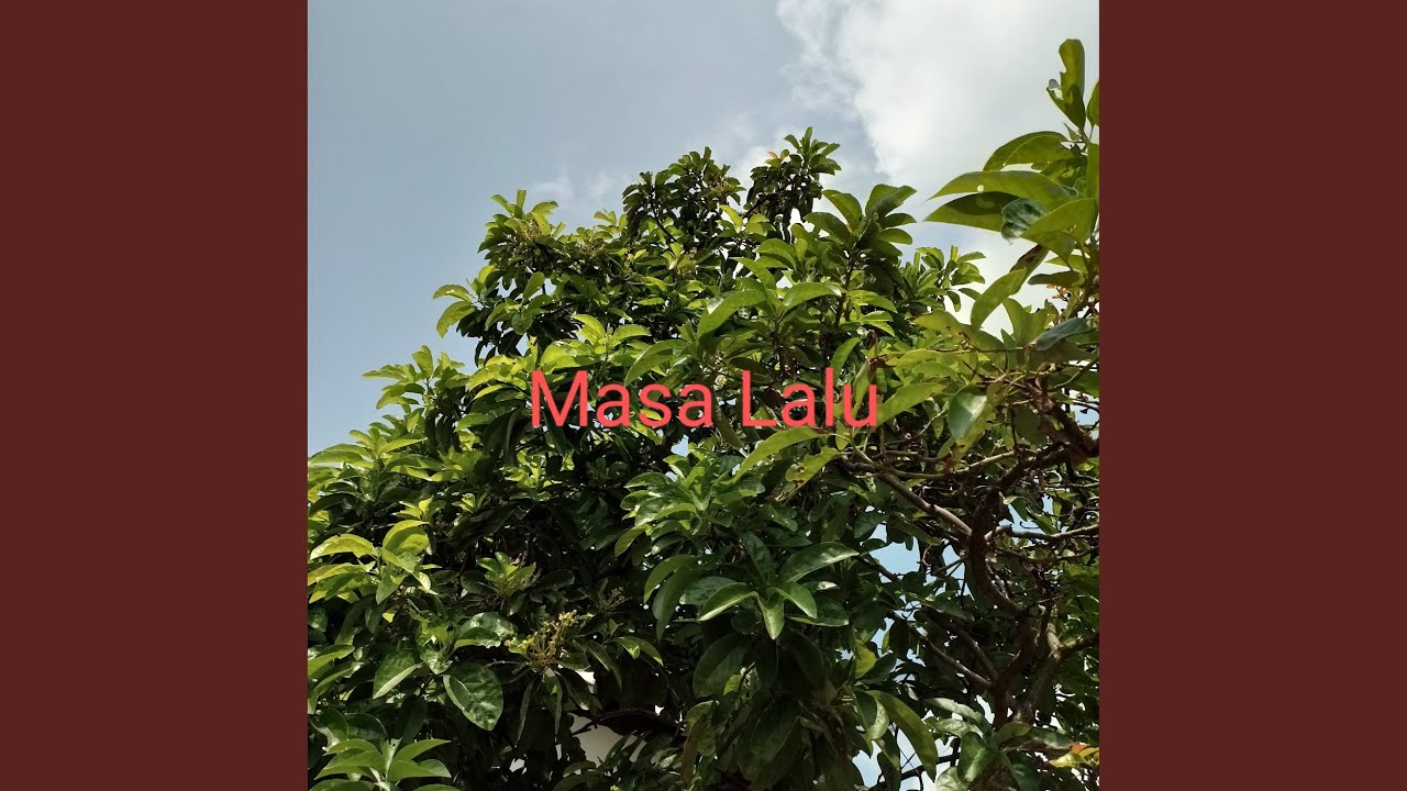 Sisi Lain