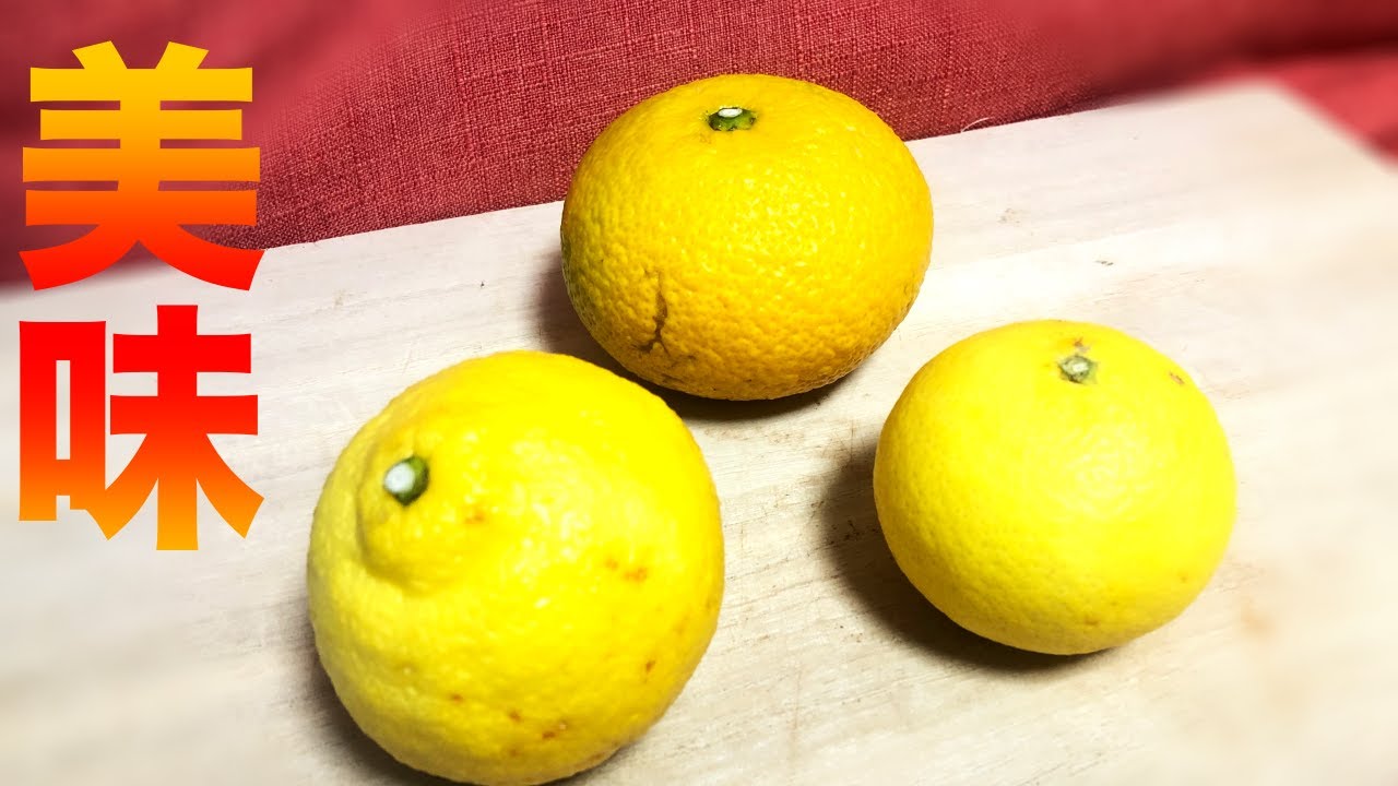 おすすめの柑橘3種！黄金柑・はるか・スイートスプリングの食べ比べ！