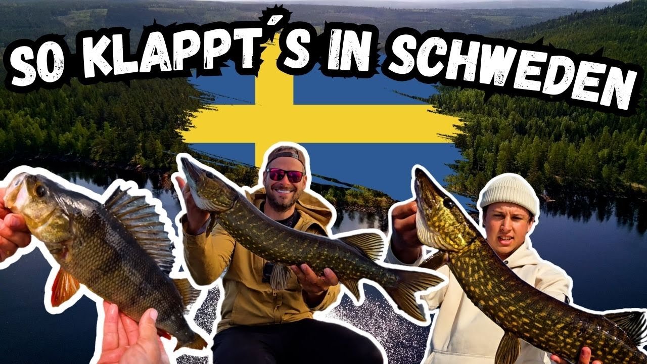 Angeln am Unbekannten Waldsee in Schweden- PB Barsch+ Hechte satt- Meine Erste Campertour