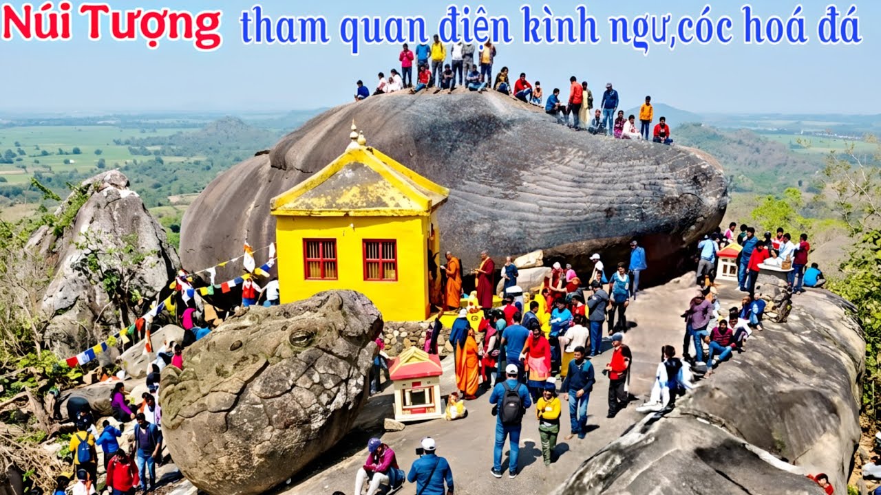 Leo núi Tượng khám phá tảng đá kì lạ có hình giống Cóc khổng lồ hoá đá