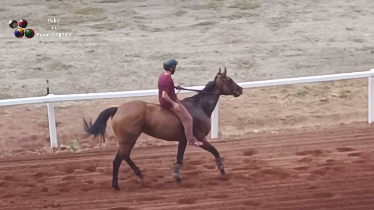 Piancastagnaio 25/07/205. Palio 2025: Prova Contrada Coro
