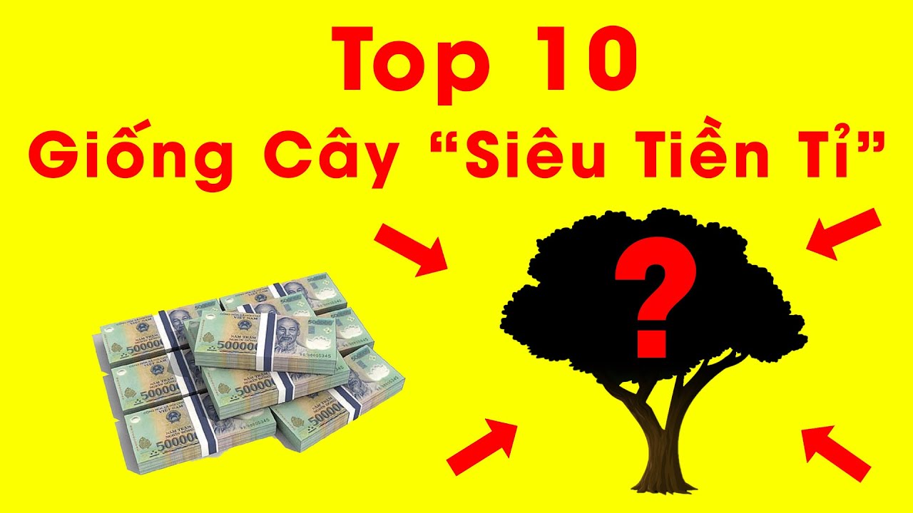 Top 10 giống cây ăn quả SIÊU TIỀN TỶ nhưng mua giống lại SIÊU RẺ