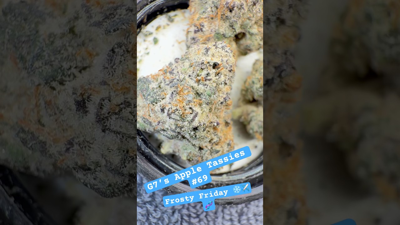 Grow the best weed ever at home!  #420 #high
