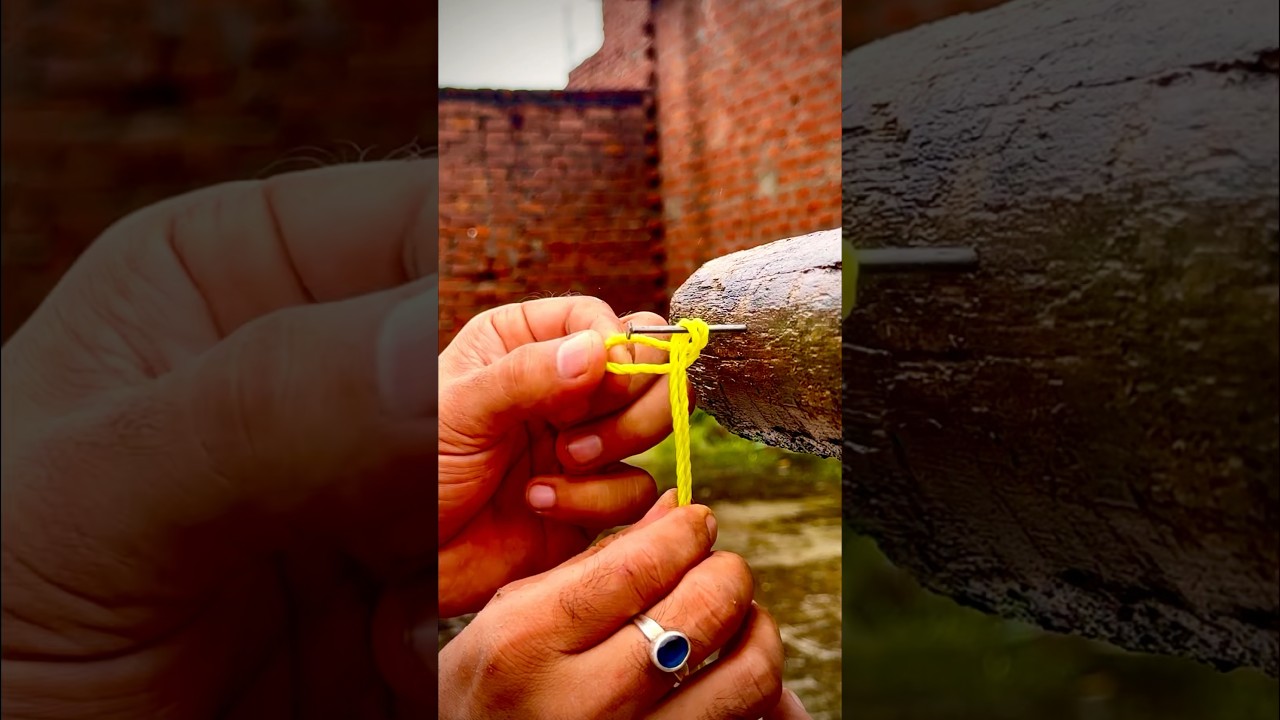 Rope Loop vs Nail &ndash; Guess Who Wins?🤔St&auml;rker als ein Knoten? Seil-Schlaufe am Nagel Test! #lifehacks