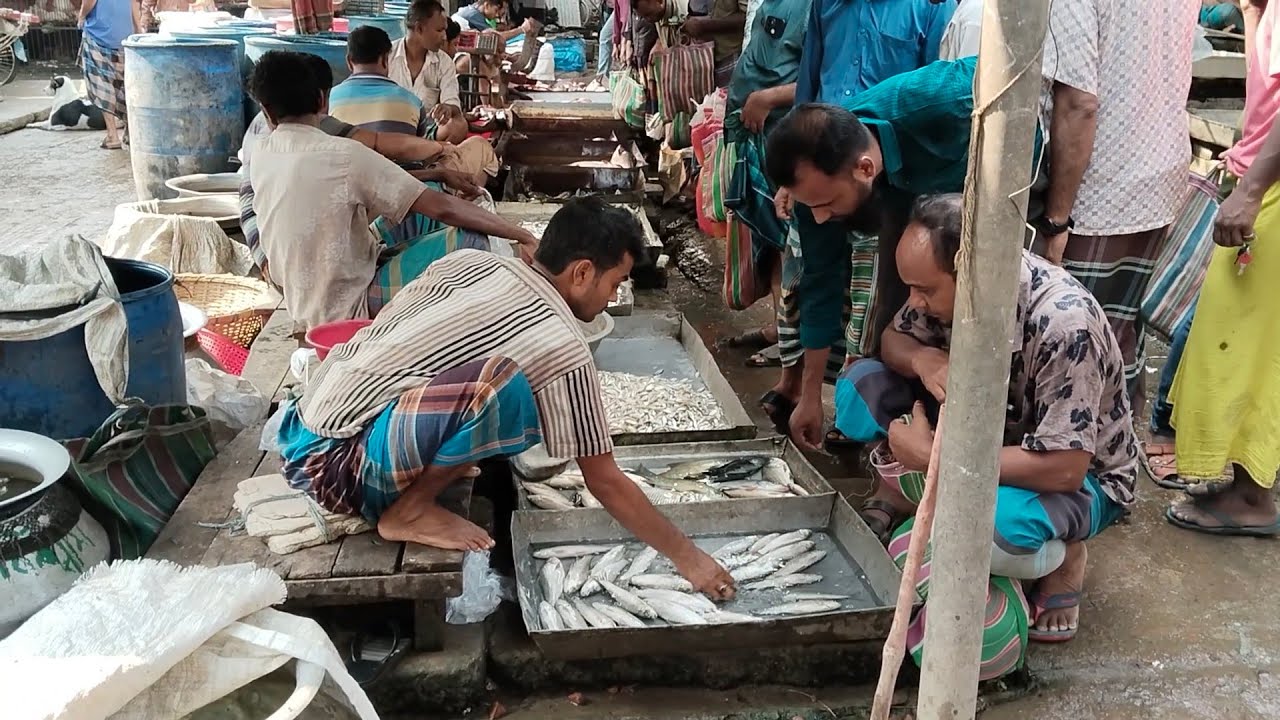 Baliakandi Bazaar Fish Market News 22 April 2025 🐟 #fishmarket 🐳 বালিয়াকান্দি বাজার আপডেট