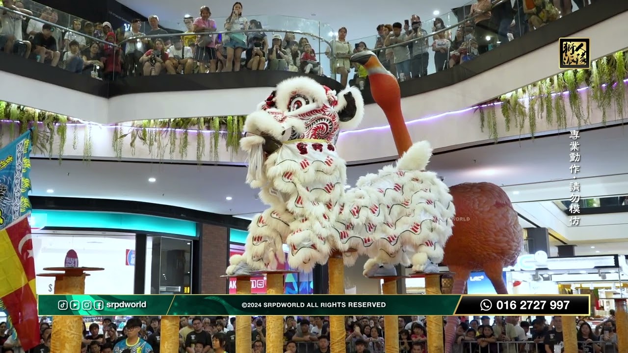 [Acrobatic Lion Dance] 2024 Acrobatic Lion Dance Championship 3.0 // 雪州萬撓玄龍文化協會 @QuaysideMall257