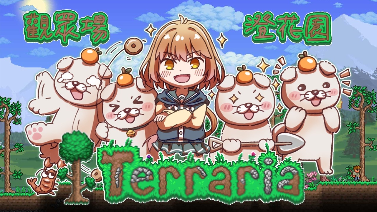 【Terraria】觀眾場｜澄花園！挖起來！｜澄花ハク