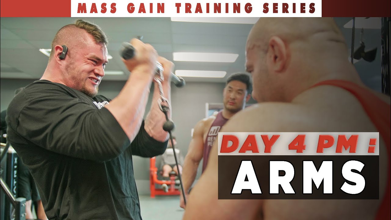 RP Mass Gain Training Series | Day 4 PM: Biceps, Delts, Forearms