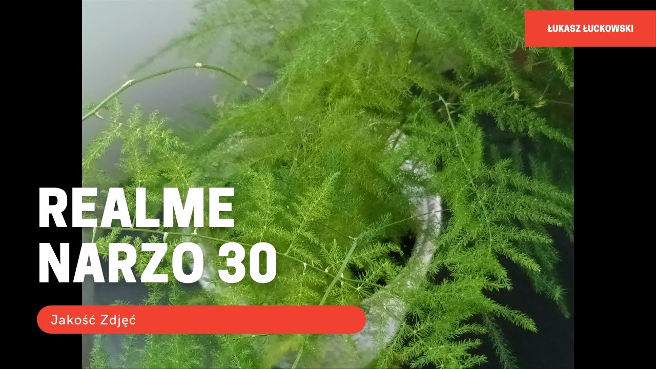 realme Narzo 30 | Zdjęcia, Aparat
