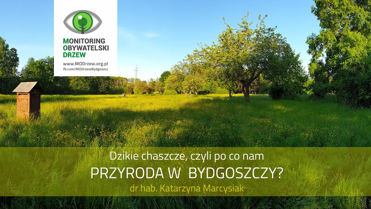 Po co nam przyroda w Bydgoszczy? dr hab. Katarzyna Marcysiak
