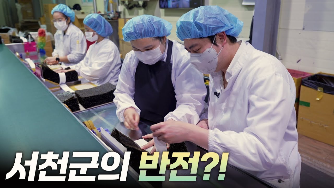 서천군의 반전?! [리부팅 지방시대] / 연합뉴스TV (YonhapnewsTV)