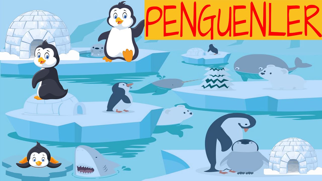 PENGUENLER-İMPARATOR PENGUEN/Okul öncesi #belgesel #belgeselizle #penguen #çizgifilm