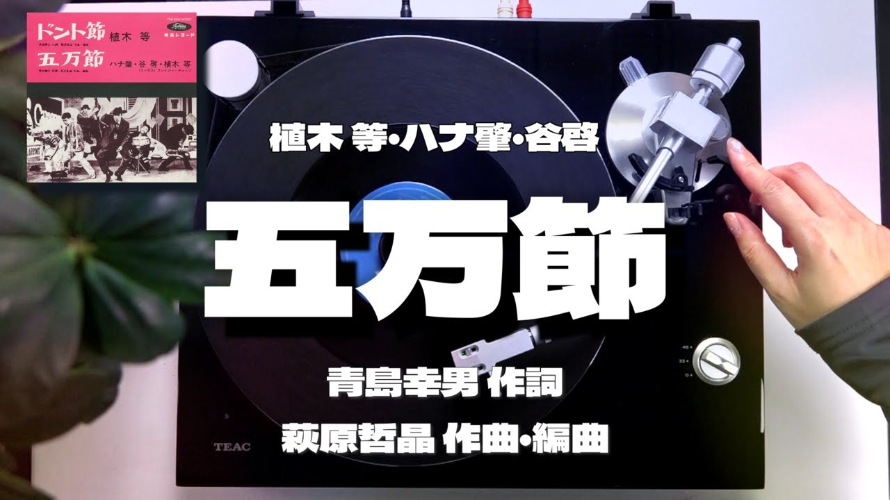 植木 等｢五万節｣ANALOG RECORD MUSIC