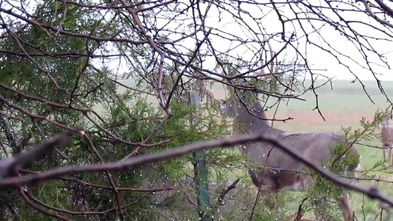 10 Point at 20 Feet