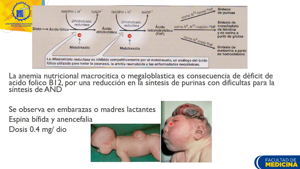 Vitaminas Hidrosolubles Dr. C&eacute;sar Cer&oacute;n