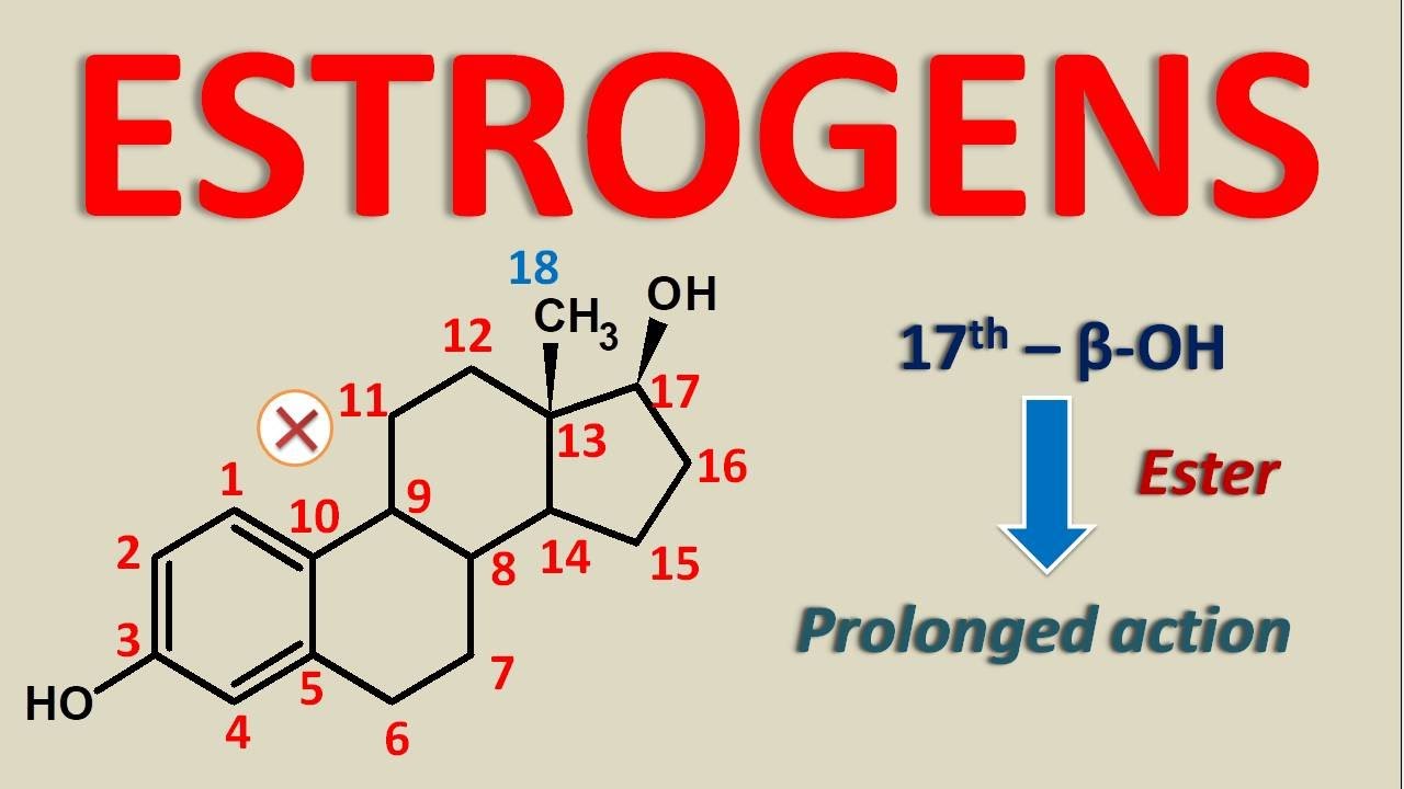 Estrogens - Natural and synthetic