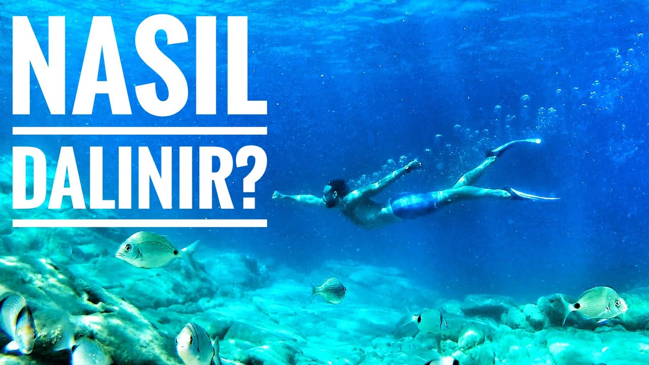Denize veya Havuza Nasıl Dalınır? | Basit Teknikler |