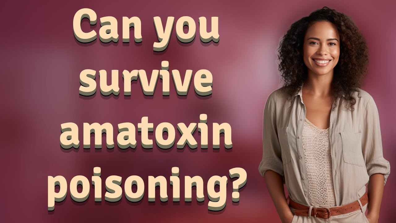 Can you survive amatoxin poisoning?