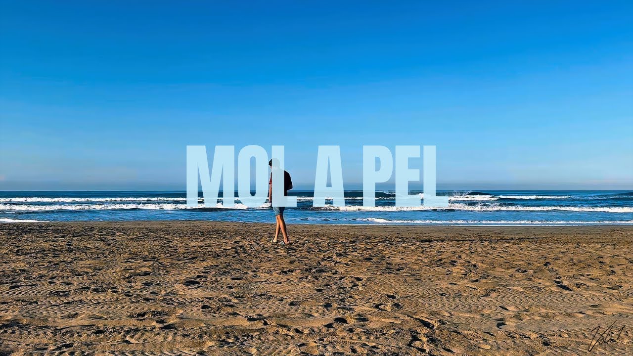 Neto Rojas - MOL A PEL (Lyric Video) | LO QUE TE ESCRIBÍ EN LA ARENA, VOL. 1