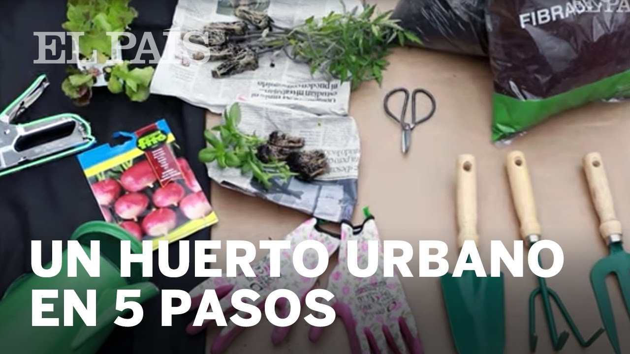 VIDA ECO: c&oacute;mo montar un huerto urbano en 5 pasos